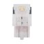Osram LEDriving SL 7515DWP-2BL W21/5W 6000K
