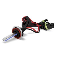 Xenonontladingslamp H11 6000K