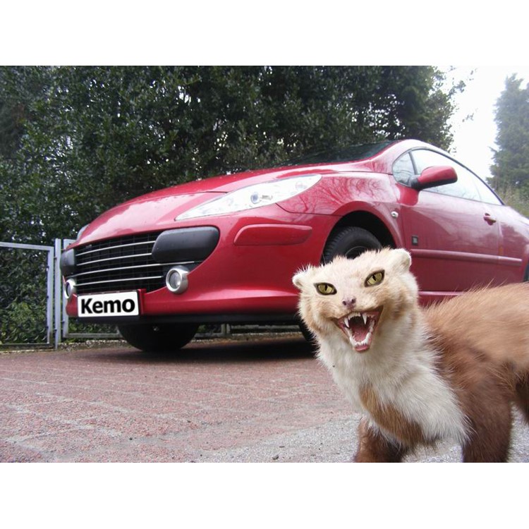 Odpuzovač KEMO M100N